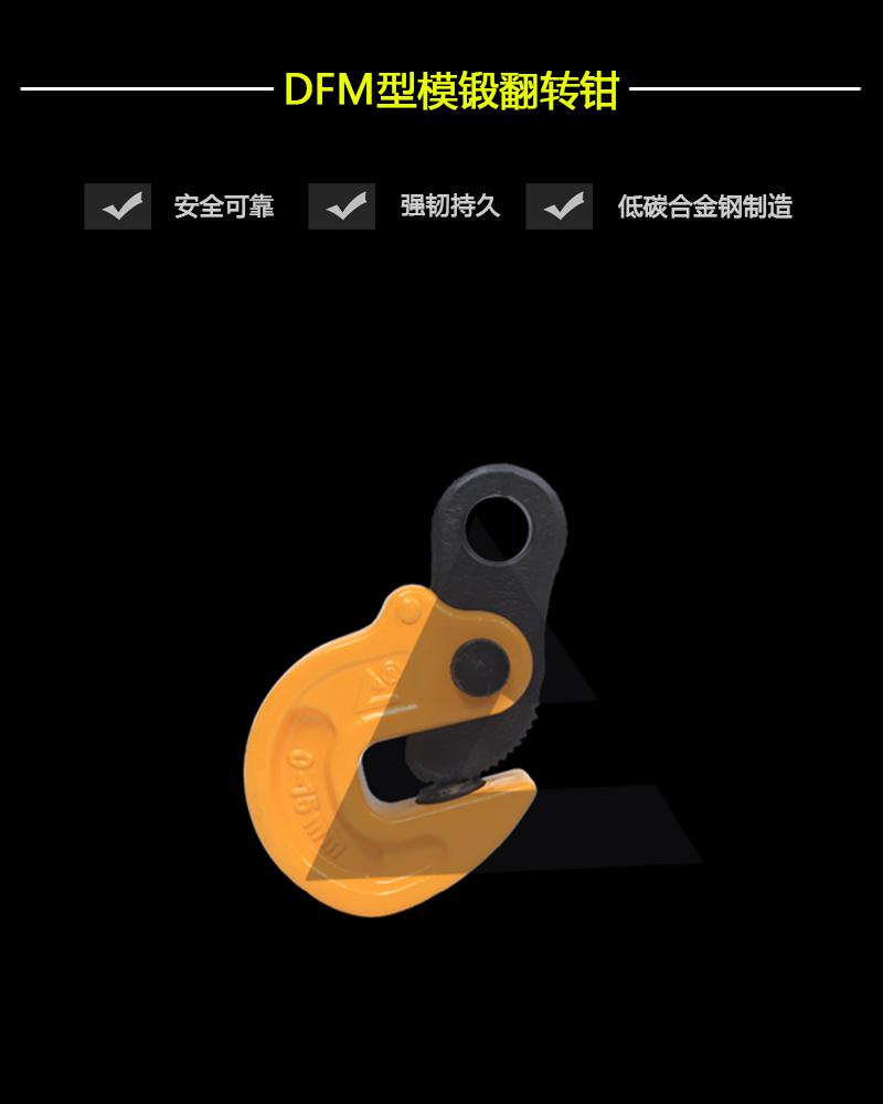 DFM型模鍛翻轉(zhuǎn)鉗-辰力集團(tuán)有限公司